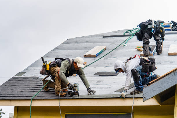 Professional Roof Inspection technician working in Hopwood, PA